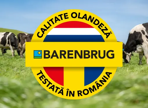 DutchQuality_TestedInRomania