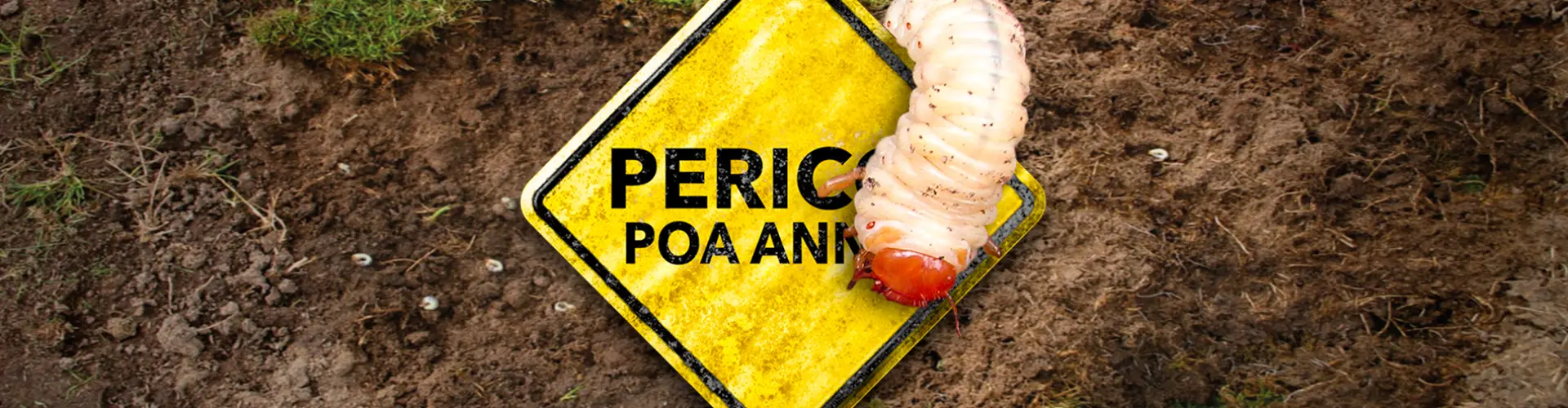HEADER_Danger-PoaAnnua-Grubs-RO