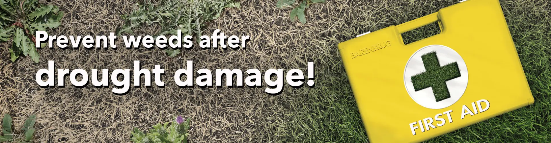 HEADER_ENG-First-Aid_Weeds-500