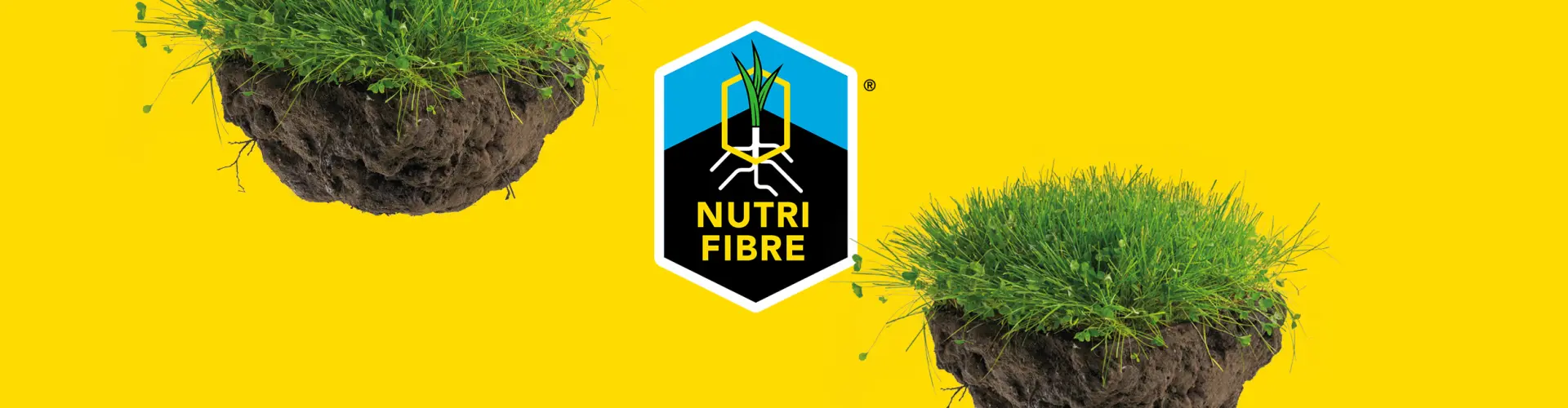 NutriFibre_root to sustainable farming_header