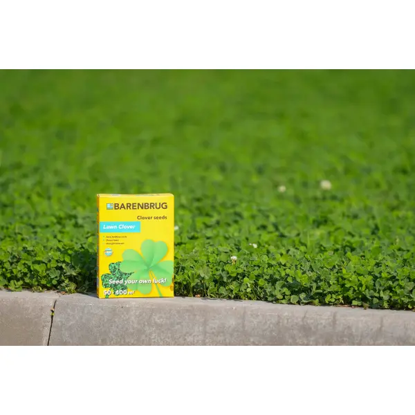 Lawn Clover 8