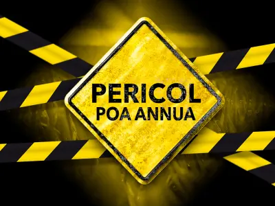 Coșmarul tuturor îngrijitorilor de spații verzi