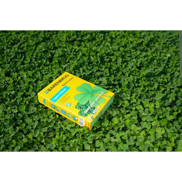Lawn Clover 1