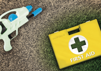 visual_link_firstaid-lawn_900.jpg