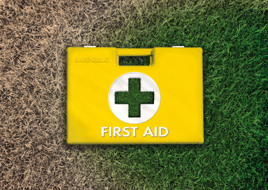 Visual_link_FirstAid-grass_900.jpg